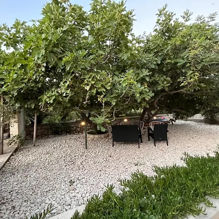 Appartement Ivana *